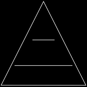 base_triangulo_olfativo